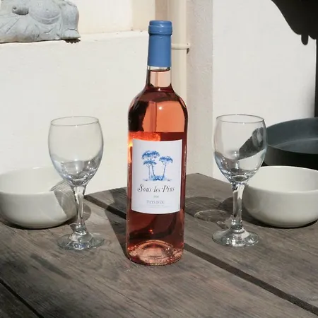 Appartement Vieil Superbe Cosy Jardin Antibes